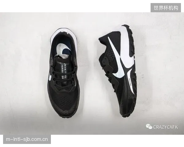 Nike通过.Swoosh平台锚定限量球鞋数字所有权，为二次市场流转提供官方验证通道